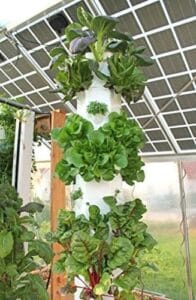 Aerospring Standard Outdoor Vertical Hydroponic Growing System loaded vertical hydroponic systems