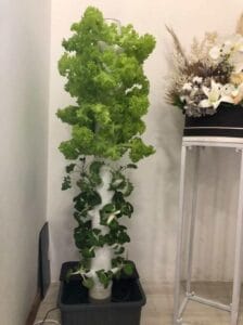 Tiruss Vertical Hydroponic Grow Tower Full