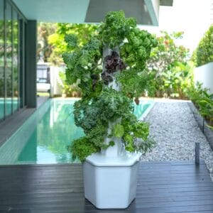 Aerospring Standard Outdoor Vertical Hydroponic Growing System